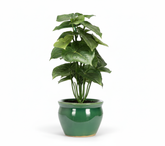 Artificial Alocasia Leaf Bonsai Tree - 11in